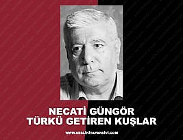 Necati Güngör – Türkü Getiren Kuşlar