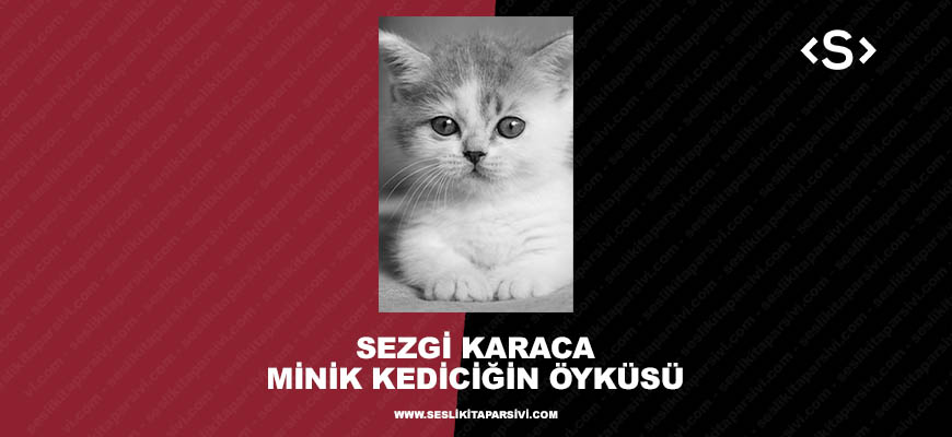 Sezgi Karaca – Minik Kediciğin Öyküsü