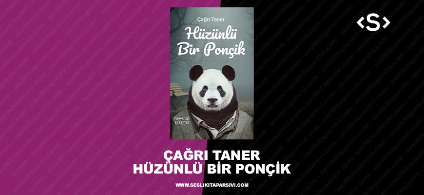 Çağrı Taner – Hüzünlü Bir Ponçik