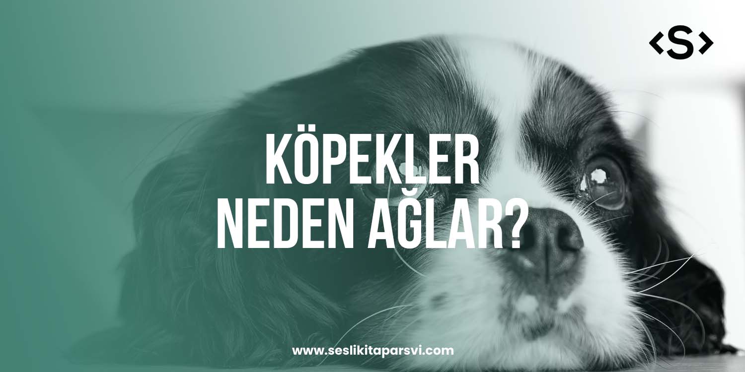 Köpekler Neden Ağlar? - Sesli Kitap Arşivi