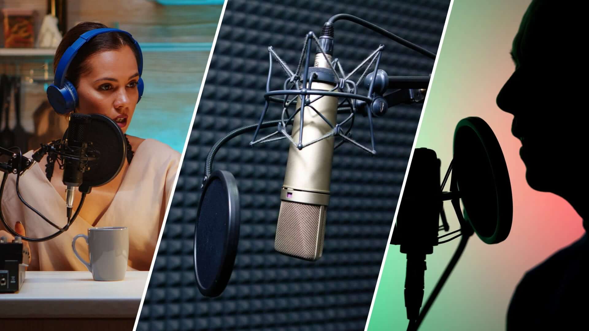 Seslendirme Yapmak İstiyorum Ne Yapmalıyım?